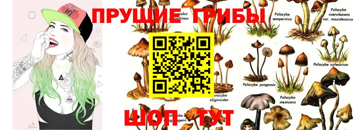 Псилоцибиновые грибы прущие грибы Первоуральск